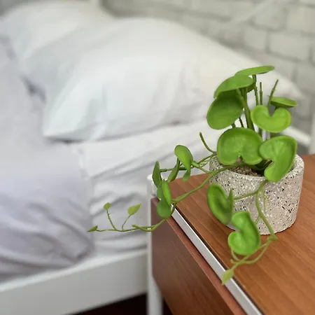Cozy With Acropolis View Apartment Athens